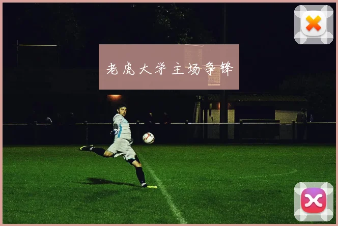 老虎大学主场争锋