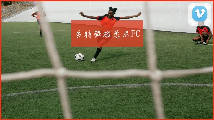 多特强碰悉尼FC